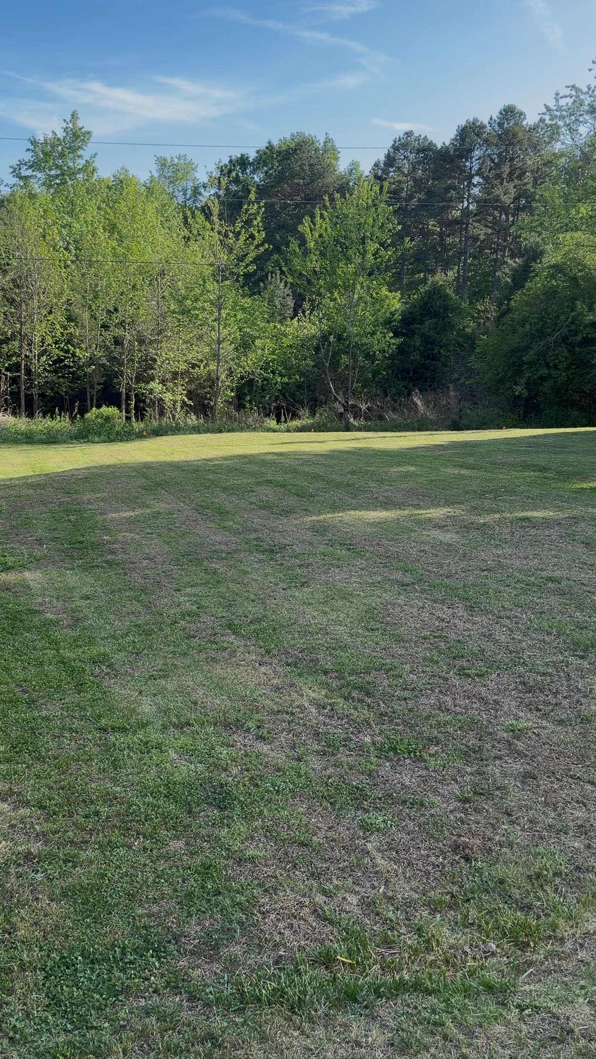 Wide green lawn in front of a dense forest under a clear blue sky.